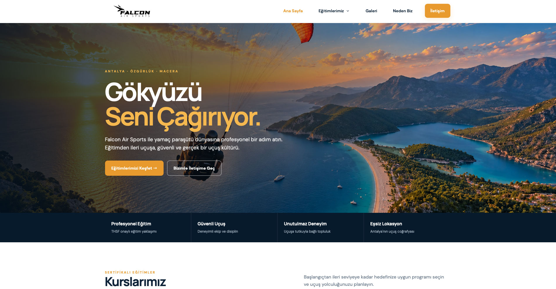 Falcon Air Sports web sitesi önizlemesi